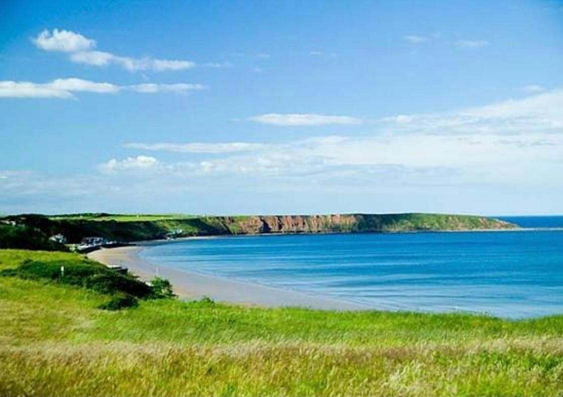 The Bay, Filey, Moonshine Cottage المظهر الخارجي الصورة