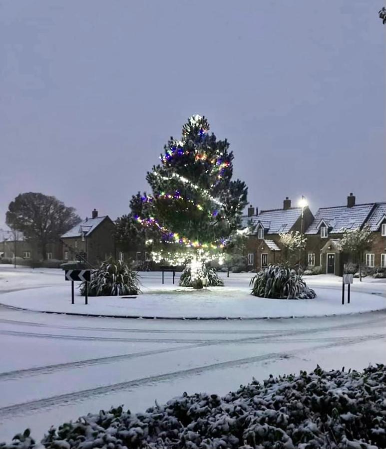 The Bay, Filey, Moonshine Cottage المظهر الخارجي الصورة